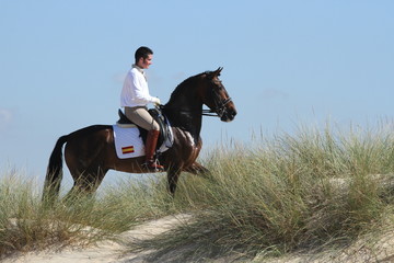 Reiter in den Dünen © Petra Eckerl
