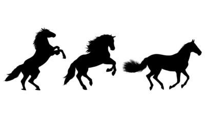 Fototapeta na wymiar Horse jump silhouettes