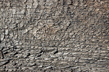 Old wooden background