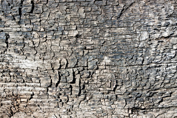 Old wooden background
