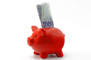 sparschwein mit schweizerfranken