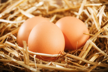 free range eggs © Lars Koch