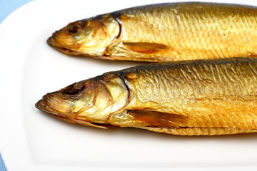 Two kippers, smoked herring on white plate