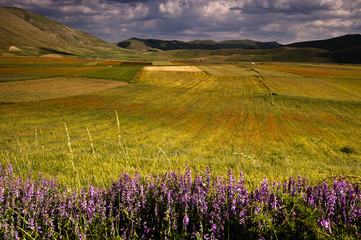 Obraz premium Castelluccio di norcia