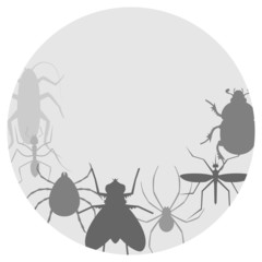 Circle insects