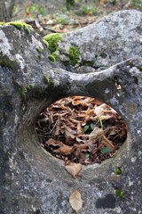 hole in the rock in the woods