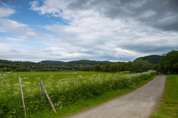 Fototapeta na wymiar Grassland and road near Bodo, Norway