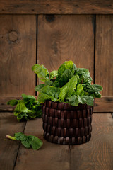 Fototapeta premium Fresh spinach