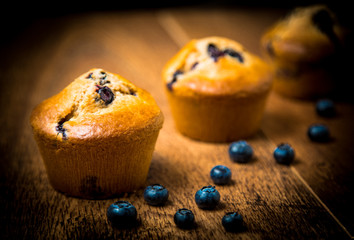 Blueberry muffins isolated on wood table