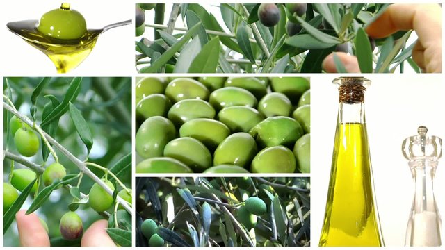 olive oil collage