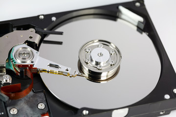 Opened hard disk and screwdriver