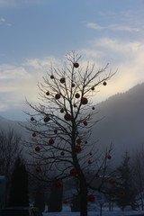 Obraz premium geschmückter Baum