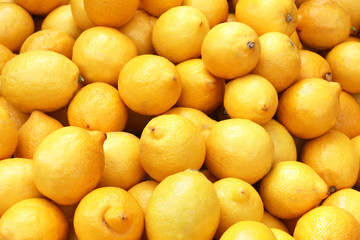 Lemons - Citrons