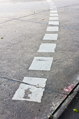 Obraz premium zebra traffic walk way