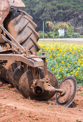 Tractor in flower garden