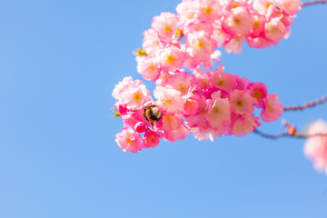 Frühling