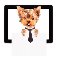 business dog holding banner on a tablet screen