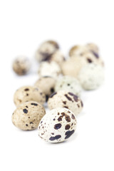 Quail eggs