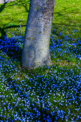 Frühling