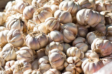 close up fresh garlic in the maeket