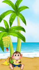A monkey resting under the banana plant at the beach