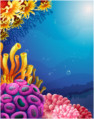 Fototapeta na wymiar Beautiful corals under the sea