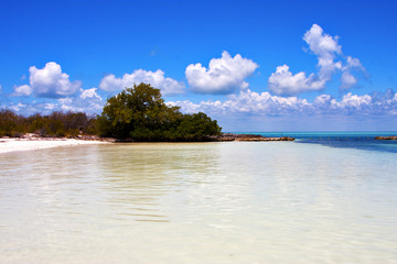 coastline and   lagoon relax    isla contoy  mexico
