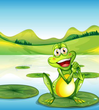 A smiling frog above the waterlily at the pond