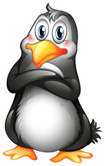 A fat penguin
