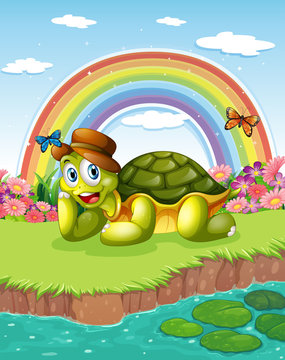 A turtle at the pond with a rainbow in the sky