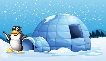 Fototapeta premium A penguin beside the igloo