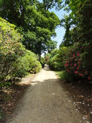 Fototapeta na wymiar Garden Path