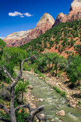 Fototapeta premium Zion Park