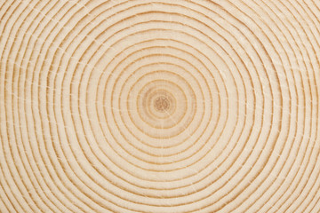 Fototapeta na wymiar Teksturowane okrągłe drewniane
