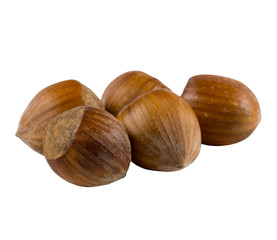 Hazelnuts on the white background
