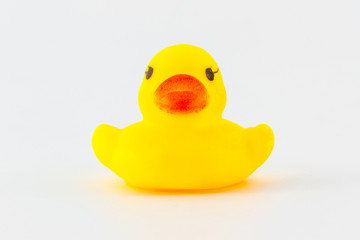 Yellow rubber duck.