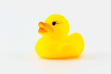 Yellow rubber duck.