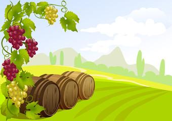 grapes, barrels and rural landscape
