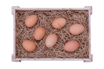 Brown Eggs