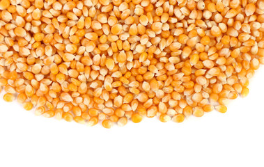 Close up of corn grains.