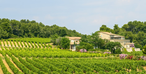 Country house near Montpellier