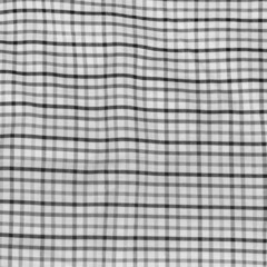 Background checkered picnic blanket.