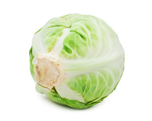 Cabbage