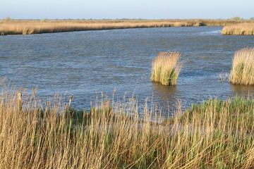 delta del po sacca di goro