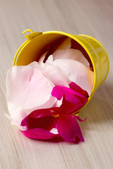 tin bucket filled with rose petals
