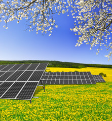 Solar energy panels in spring landscape