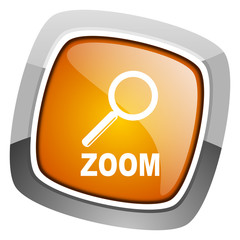 zoom icon