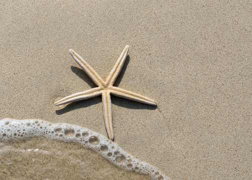 Overhead view of a starfish and wave on a smooth background