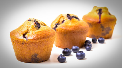 Blueberry muffins isolated
