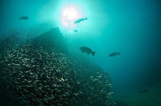 shipwreck, pacific.
